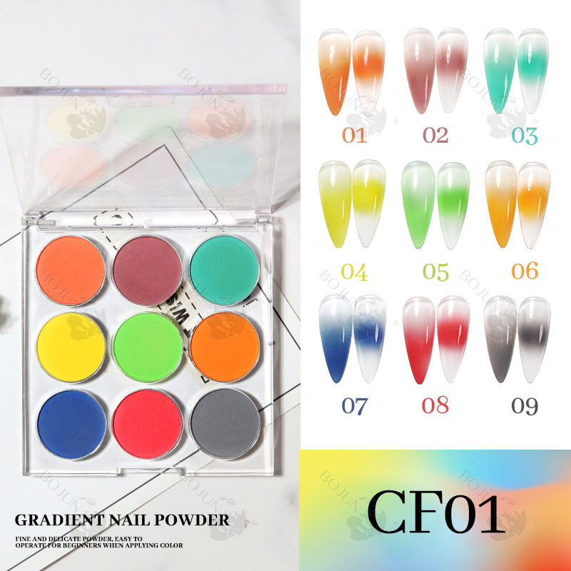 BOJUN CF01 | 9 in 1 Solid Nail Gradient Pigment Powder Set